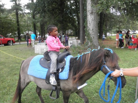 Pony Rides