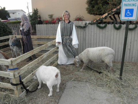 nativity scene