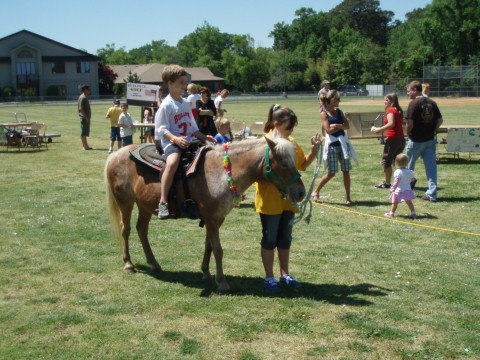 Pony Rides