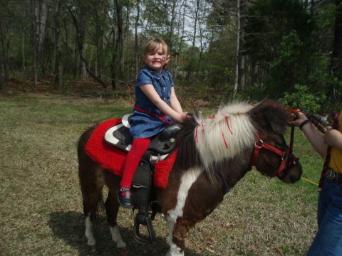 Pony Rides
