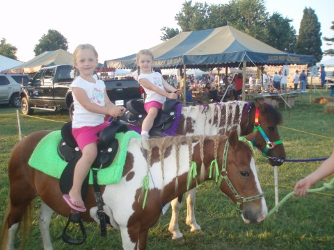 ponies