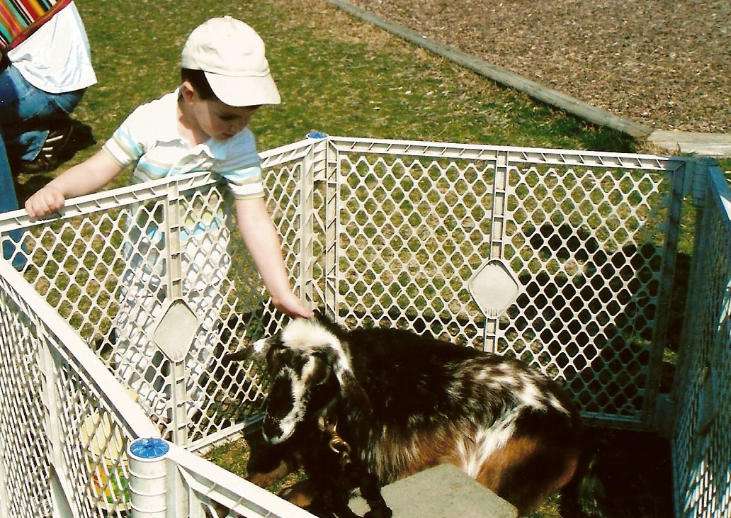 petting zoo
