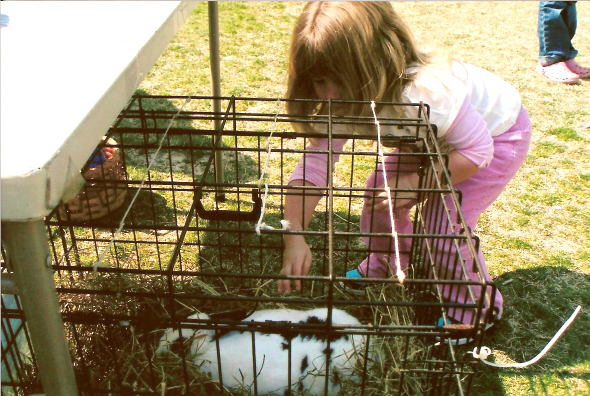 petting zoo