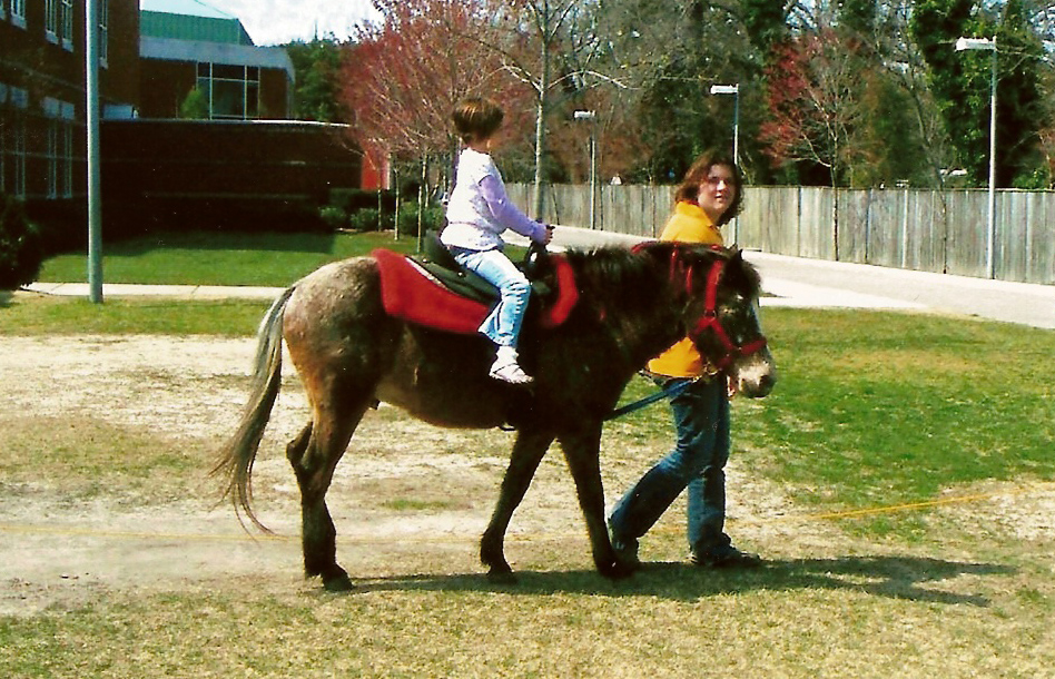 Pony Rides